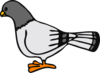 Cartoon Pigeon Clip Art